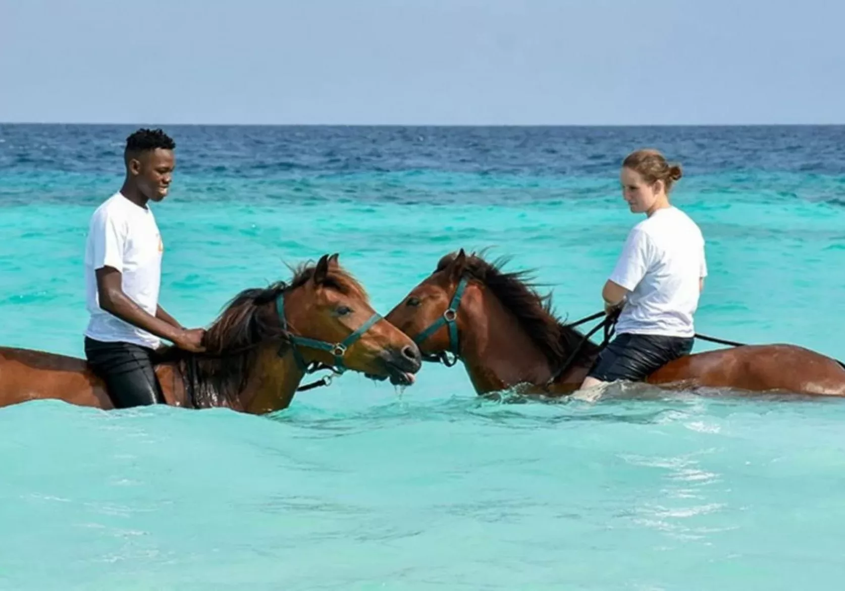 Swim-Horse-turismo